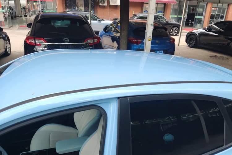 Used NETA AYA 2023 318 Lite
