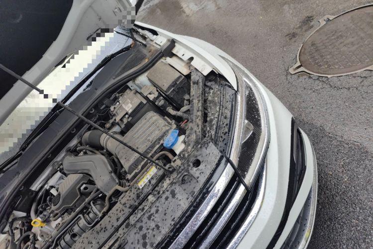 Used Volkswagen Bora 2023 300TSI DSG Prestige Edition
