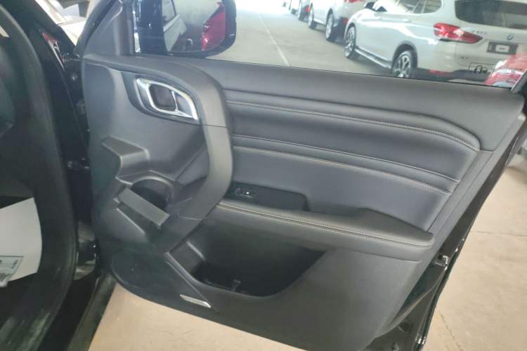 Used Haval DARGO 2024 2.0T DCT Chinese Rural Dog Edition
