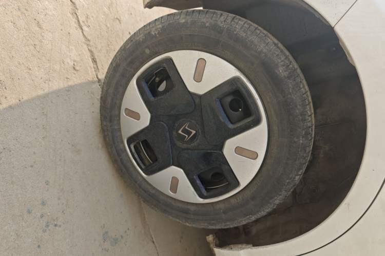 Used SOL E10X 2022 Flower Fairy Design Four-Leaf Clover