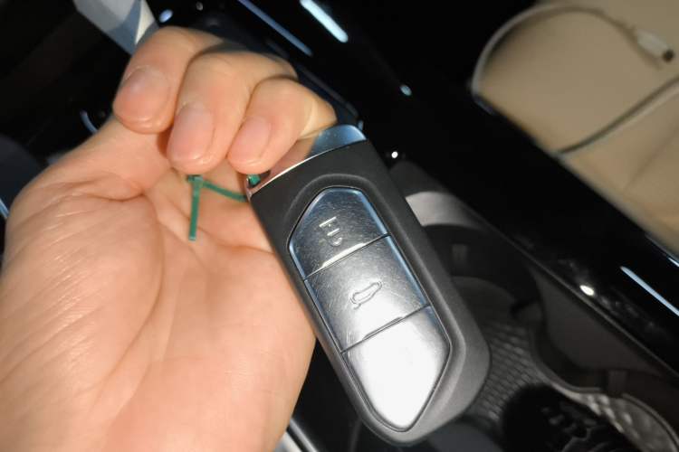 Used VOYAH FREE 2021 Two-Wheel Drive Standard Pure Electric City Edition
