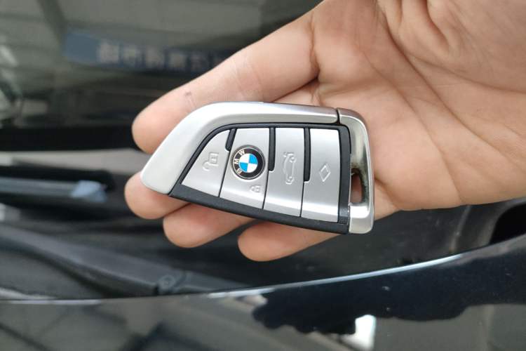 Used BMW 5 Series New Energy 2020 Mileage Upgrade Version 530Le Luxury Package
