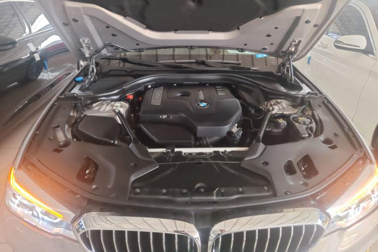 Used BMW 5 Series 2018 530Li Luxury Edition Premium Package
