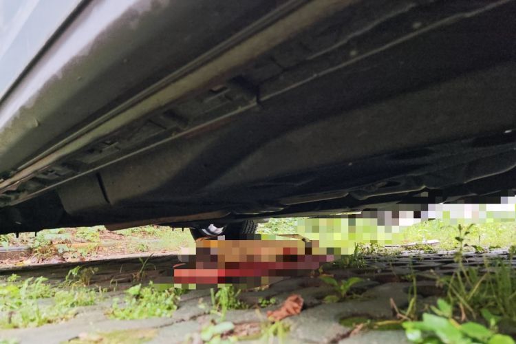 Used Mazda CX-5 2020 Revised Version 2.0L Automatic Two-Wheel Drive Smart Type