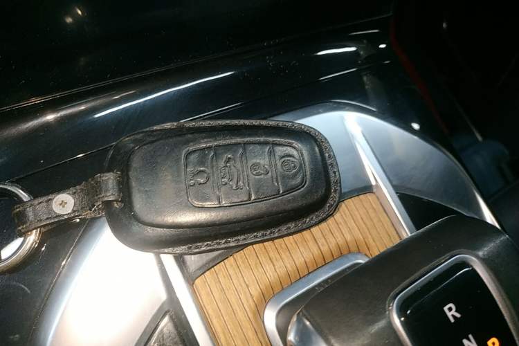 Used Hongqi E-HS9 2021 510 km Range Flagway Edition Six Seats