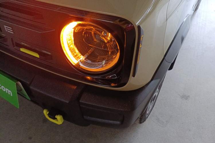 Used  Panda 2024 200km Panda Rider