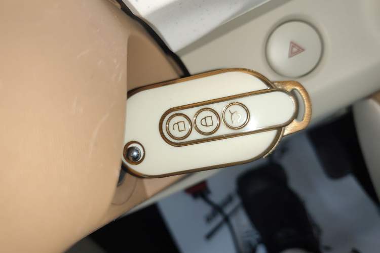 Used Wuling Hongguang MINIEV 2024 3rd Generation 215km Advanced Version
