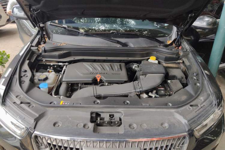 Used Haval H6 2021 1.5 GDIT Automatic Champion Edition
