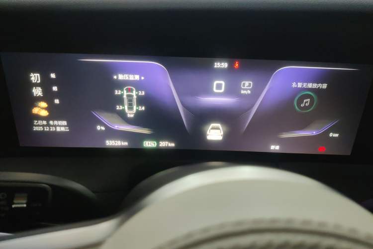 Used Hongqi E-HS9 2021 460 km Range Flagship Edition Six-Seater
