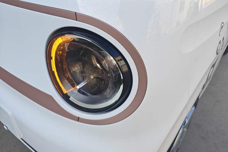 Used  Panda 2024 Panda Mini 200km Endurance Bear
