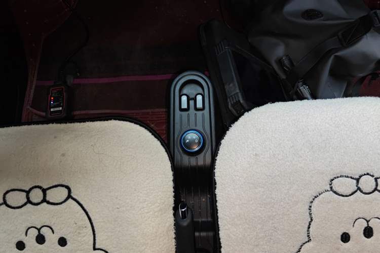 Used Wuling Hongguang MINIEV 2020 Enjoyment Model Lithium Iron Phosphate
