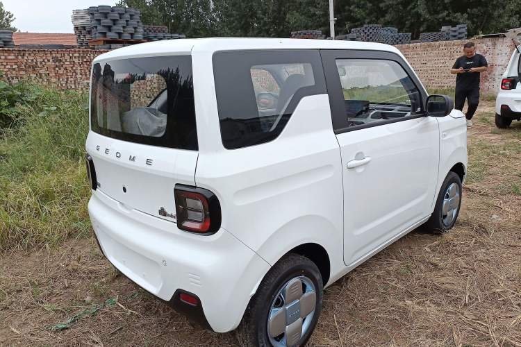 Used  Panda 2024 Panda Mini 200km Endurance Bear
