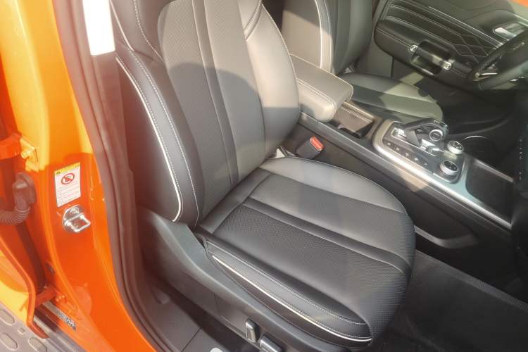 Used Tank 300 2024 2.0T Conqueror