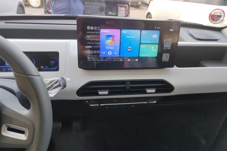 Used  Panda 2024 Panda Mini 200km Endurance Bear
