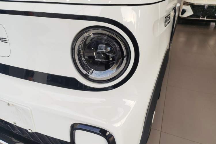 Used  Panda 2024 200km Panda Kart
