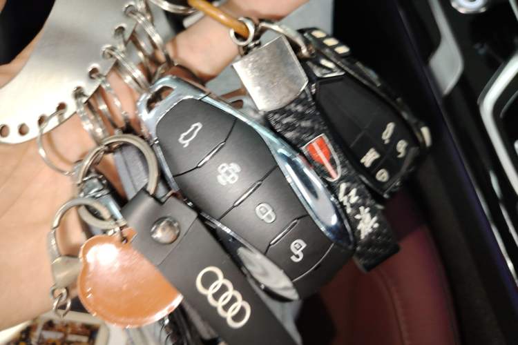 Used Hongqi HS5 2022 Facelifted Version 2.0T Smart Connect Flagship All-Wheel-Drive Edition
