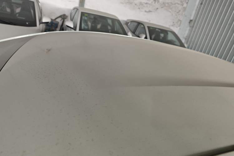 Used BYD Dolphin 2025 420km Free Edition
