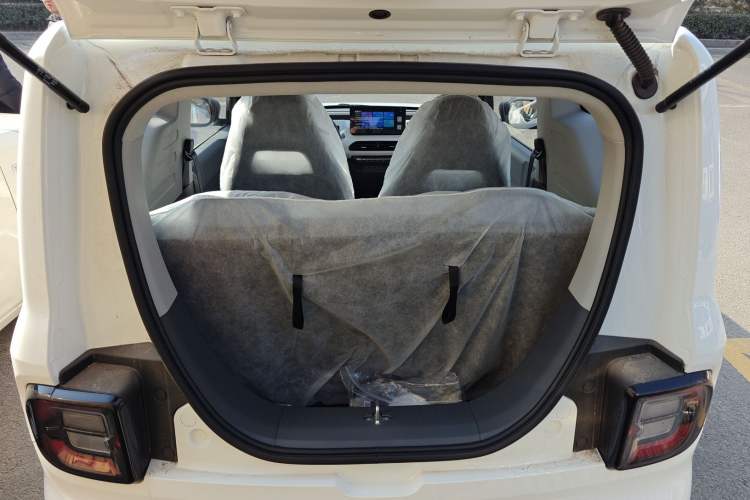 Used  Panda 2024 Panda Mini 200km Endurance Bear