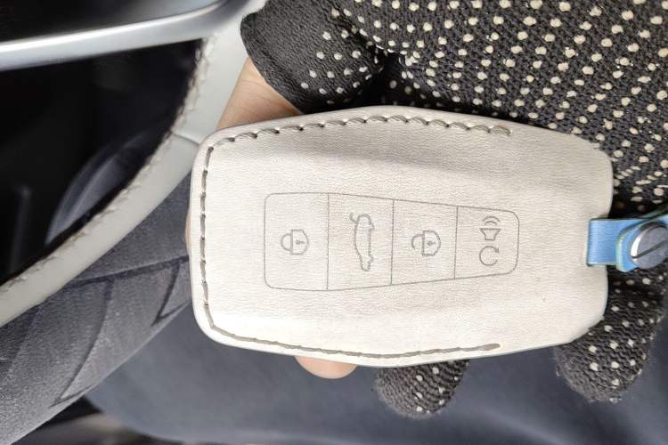 Used Geely Auto Monjaro L 2021 2.0TD DCT EVO Two-Wheel Drive Prestige Version
