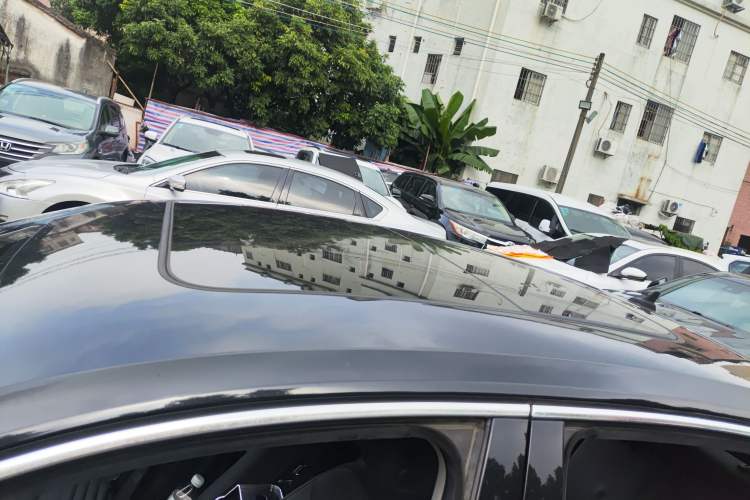 Used Volkswagen Magotan 2019 330TSI DSG Luxury Version China VI Standard
