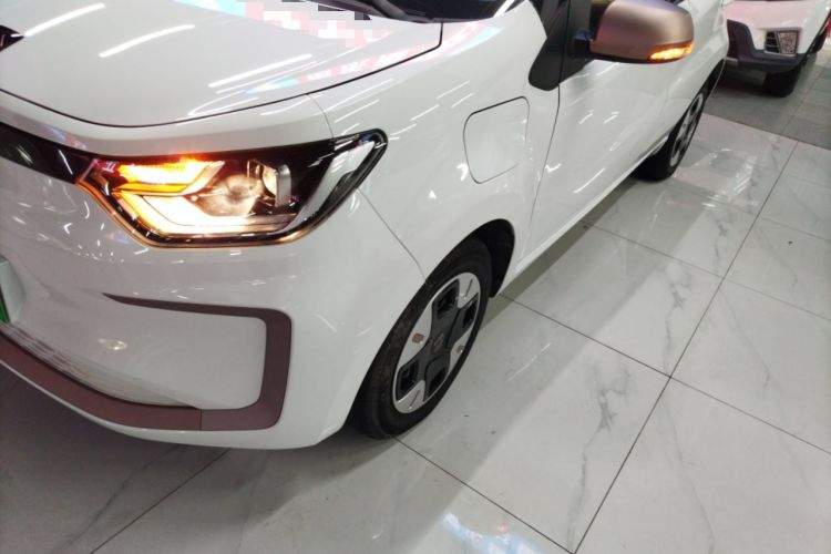 Used SOL E10X 2022 Flower Fairy Design Dandelion
