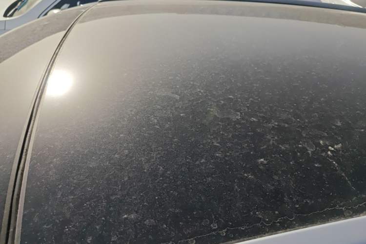 Used Haval F5 2019 National Trend Edition 1.5T i-Trend China VI Standard
