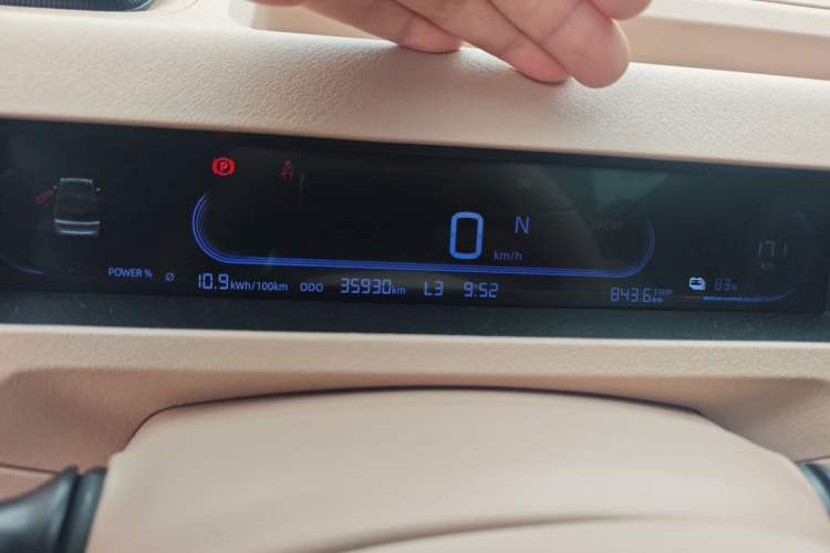 Used  Panda 2023 Panda Mini 200km Dynamic Bear
