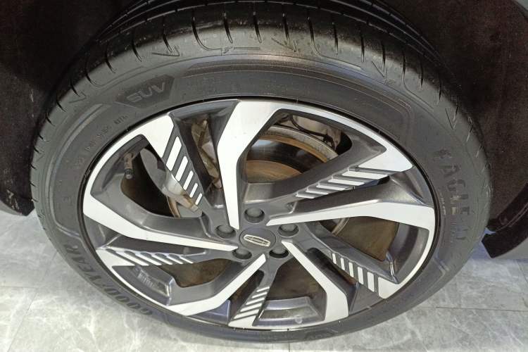 Used Geely Auto Monjaro L 2024 2.0TD High-Power Automatic Two-Wheel Drive Skyline Edition
