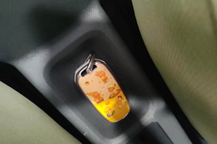 Used  Panda 2024 Panda Mini 200km Endurance Bear