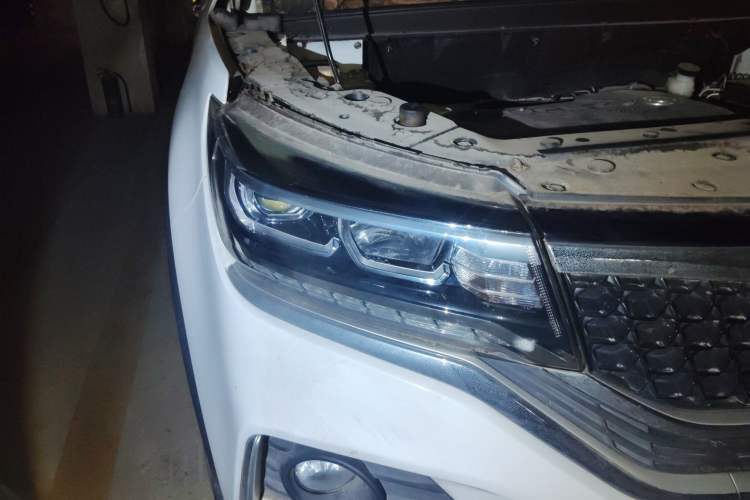 Used FORTHING Joyear X5 2019 X5L 1.5T CVT Luxury Model