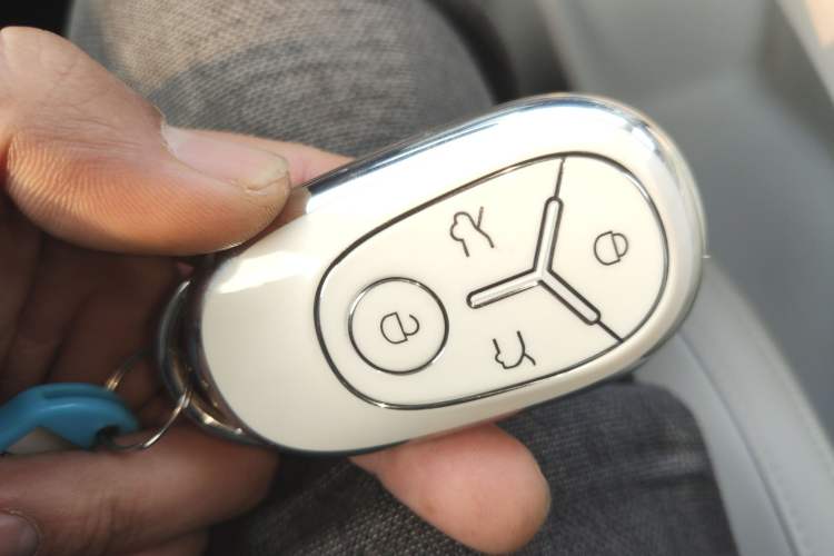 Used  Geome 2025 310km Youth Edition
