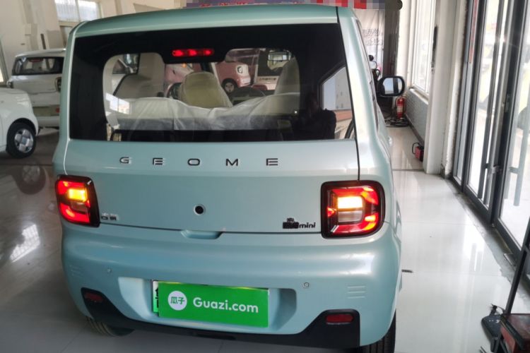 Used  Panda 2024 Panda Mini 200km Endurance Bear
