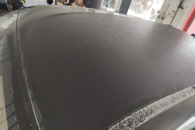 Used ORA Black Cat 2019 351 km Family Edition
