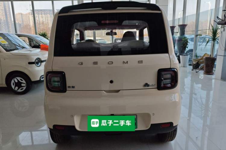 Used  Panda 2025 210 km – Yuanqi Bear

