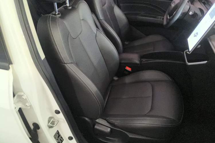 Used NETA V 2021 Long-Range Entertainment Edition Upgrade Model
