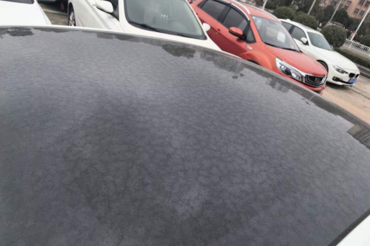 Used  L07 2024 300Max Extended-Range Version
