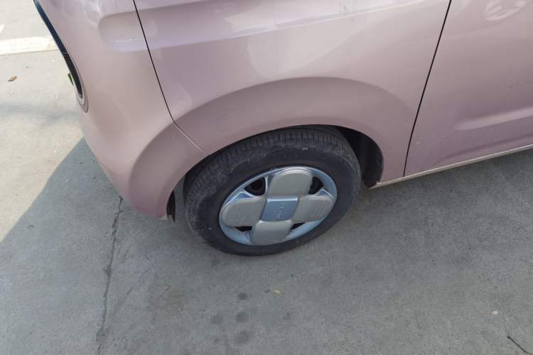 Used  Panda 2024 Panda Mini 200km Endurance Bear