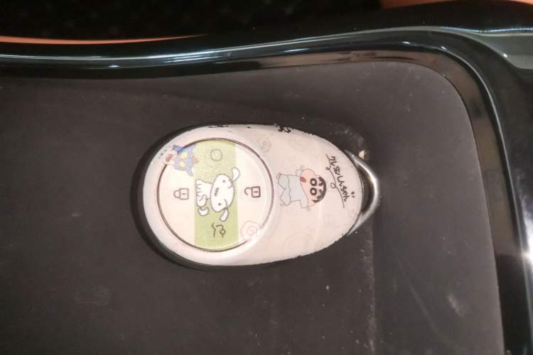 Used AION V 2024 Aion Tyrannosaurus 650 Smart Premium Edition
