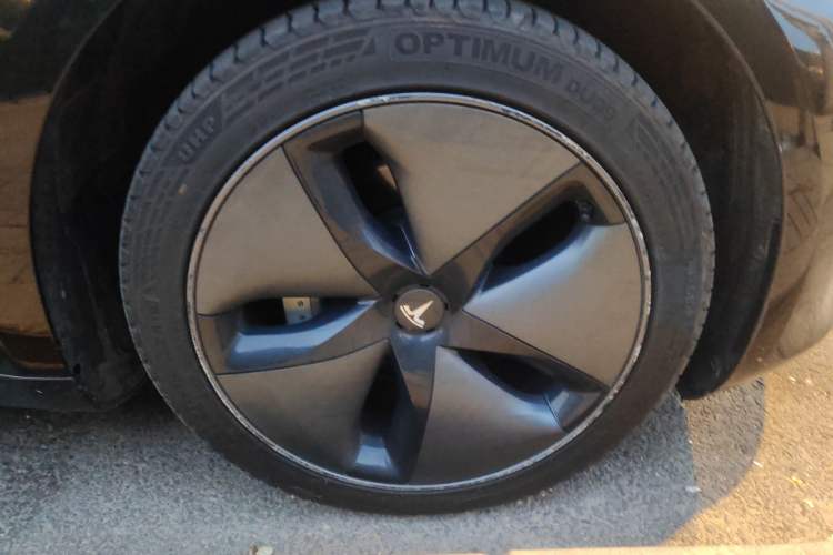 Used Tesla Model 3 (Import) 2019 Long-Range Rear-Wheel-Drive Version