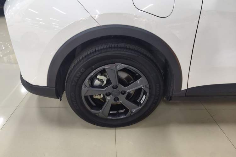 Used Geometry E Firefly 2024 401 km Fluorescent
