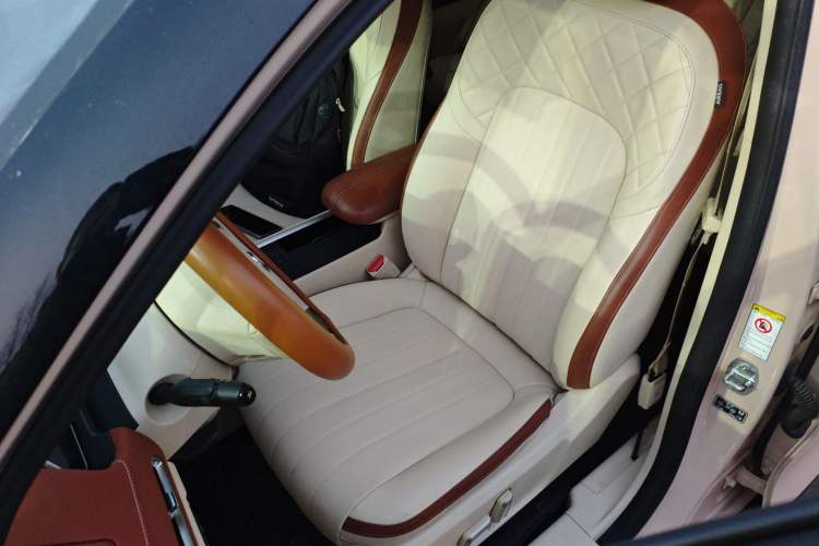 Used ORA Good Cat 2021 400km Standard Range Athena Edition Lithium-Ion Battery