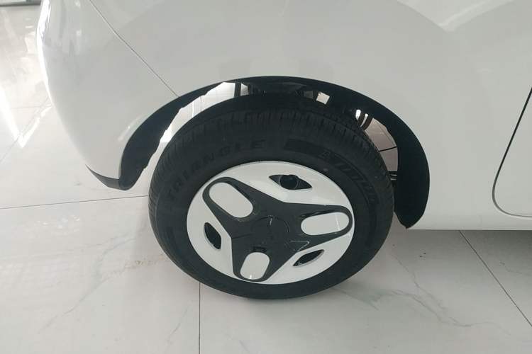Used  Panda 2025 210 km – Yuanqi Bear
