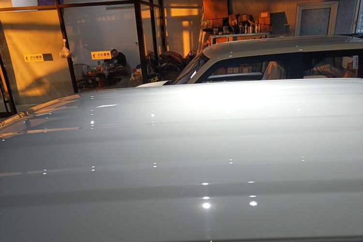 Used  Panda 2024 Panda Mini 200km Endurance Bear