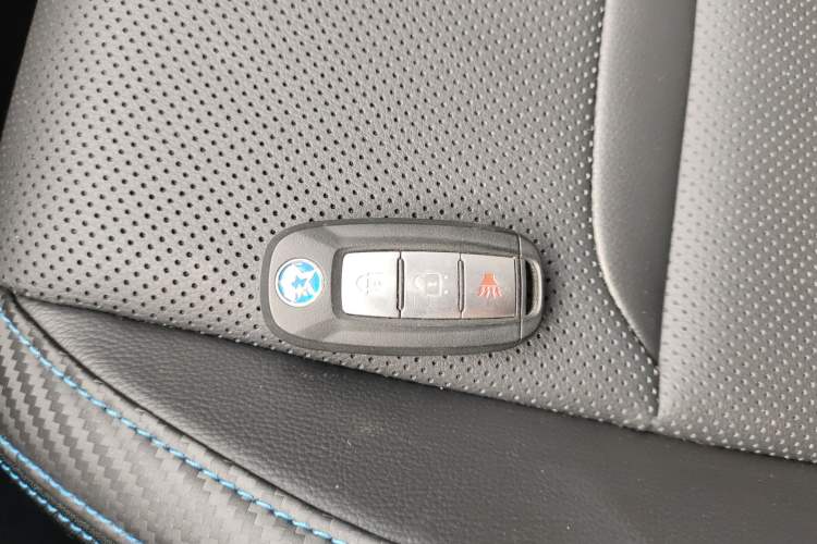 Used Venucia T60EV 2020 AI Enjoyment Model
