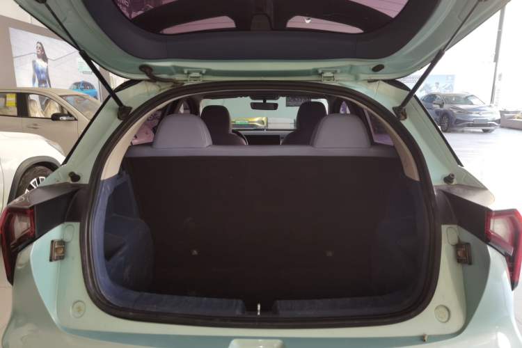 Used Geometry E Firefly 2022 401 km Linglong Tiger 4 Seats
