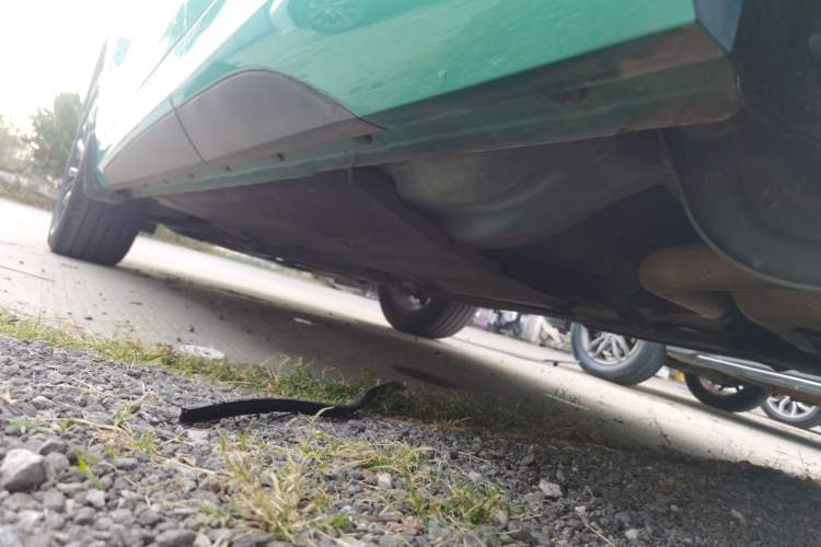 Used FORTHING T5 EVO 2021 1.5TD DCT Diamond Edition