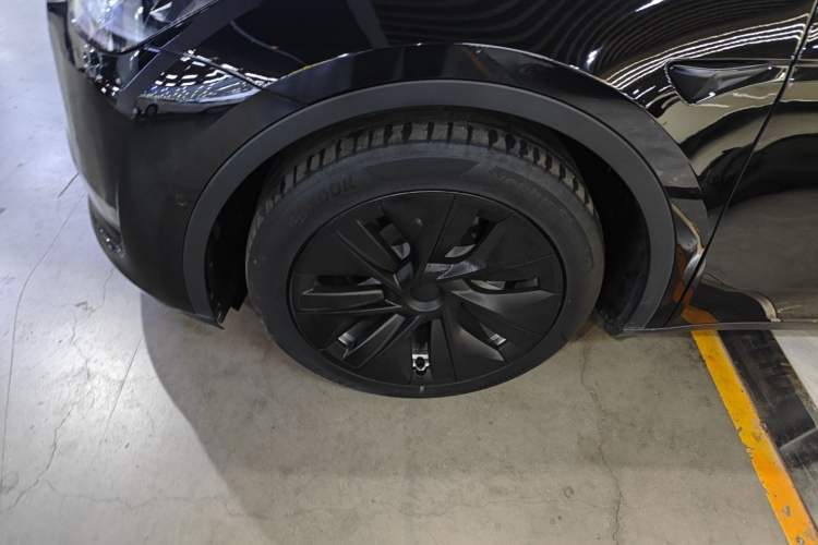 Used Tesla Model Y 2021 Standard Range Rear-Wheel Drive Version
