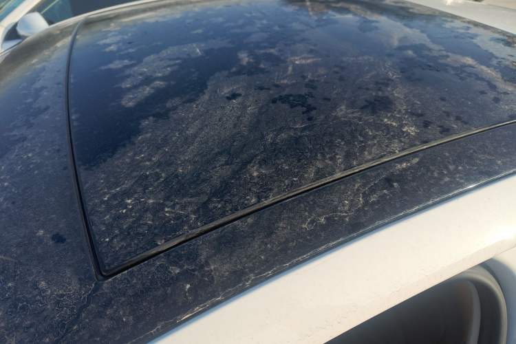 Used Volkswagen Lamando 2019 280TSI DSG Comfort Edition China VI standard
