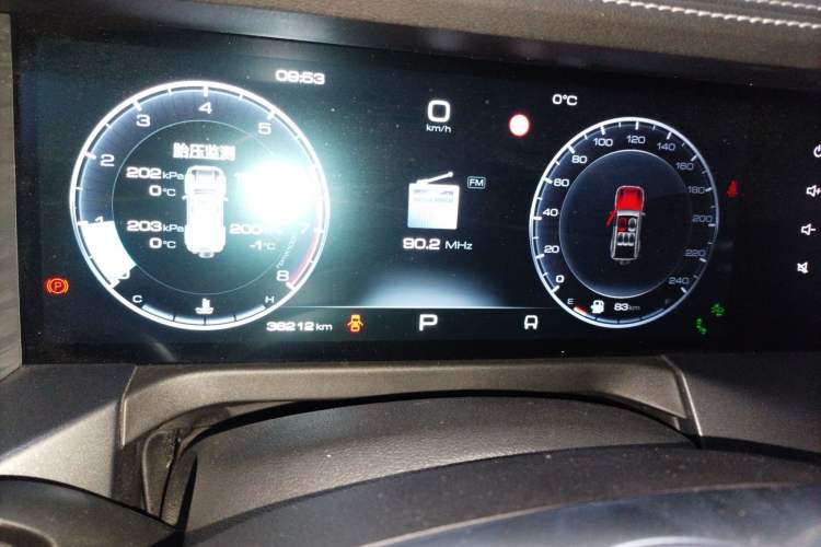 Used Tank 300 2021 City Edition 2.0T—Truly Stylish
