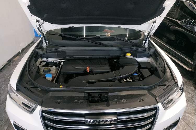 Used Haval H6 2019 1.5 GDIT Automatic Champion Edition China VI Standard
